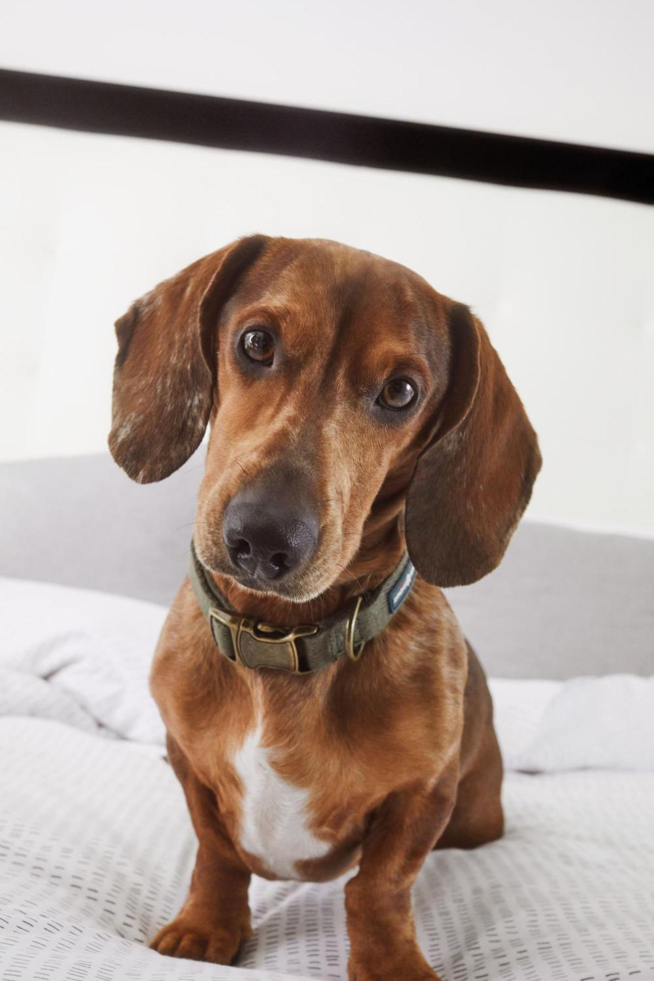 Innside By Melia Seestern 4*